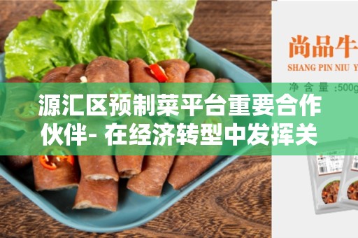 源汇区预制菜平台重要合作伙伴- 在经济转型中发挥关键作用的伙伴