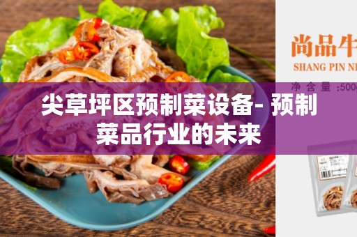 尖草坪区预制菜设备- 预制菜品行业的未来