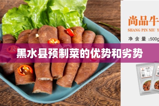黑水县预制菜的优势和劣势