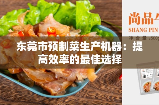 东莞市预制菜生产机器：提高效率的最佳选择