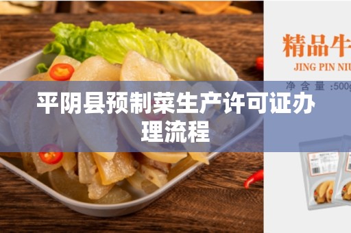 平阴县预制菜生产许可证办理流程