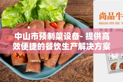 中山市预制菜设备- 提供高效便捷的餐饮生产解决方案