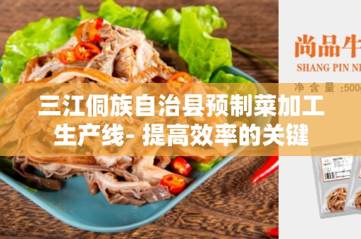 三江侗族自治县预制菜加工生产线- 提高效率的关键