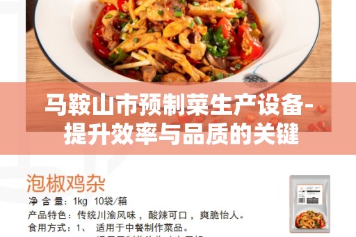马鞍山市预制菜生产设备- 提升效率与品质的关键