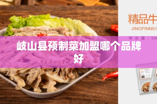 岐山县预制菜加盟哪个品牌好