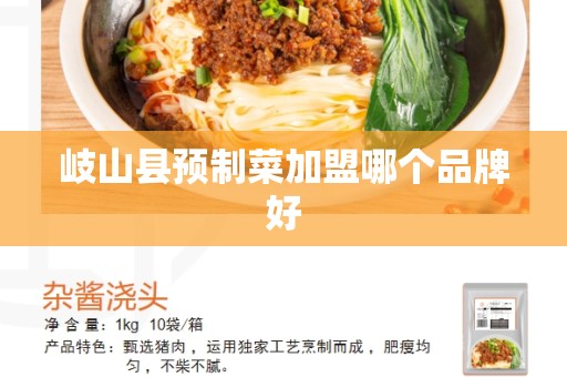 岐山县预制菜加盟哪个品牌好