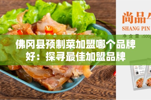 佛冈县预制菜加盟哪个品牌好：探寻最佳加盟品牌
