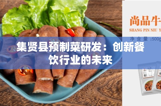 集贤县预制菜研发：创新餐饮行业的未来