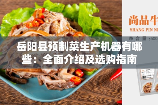 岳阳县预制菜生产机器有哪些：全面介绍及选购指南