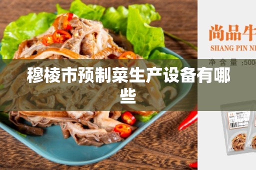 穆棱市预制菜生产设备有哪些