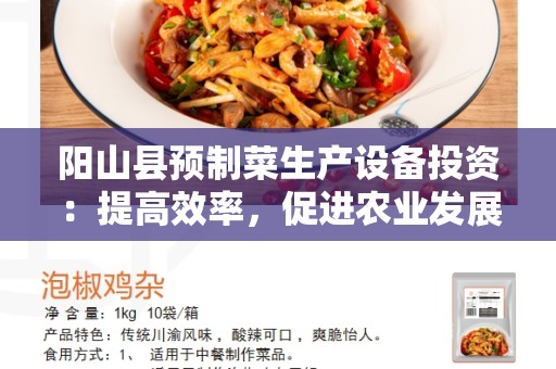 阳山县预制菜生产设备投资：提高效率，促进农业发展