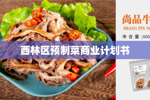 西林区预制菜商业计划书