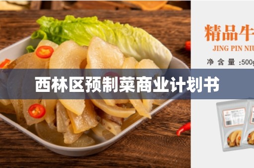 西林区预制菜商业计划书