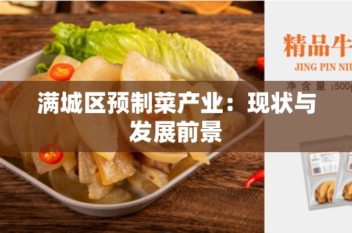 满城区预制菜产业：现状与发展前景