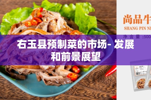 右玉县预制菜的市场- 发展和前景展望
