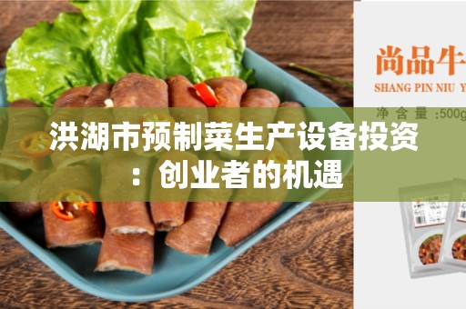 洪湖市预制菜生产设备投资：创业者的机遇