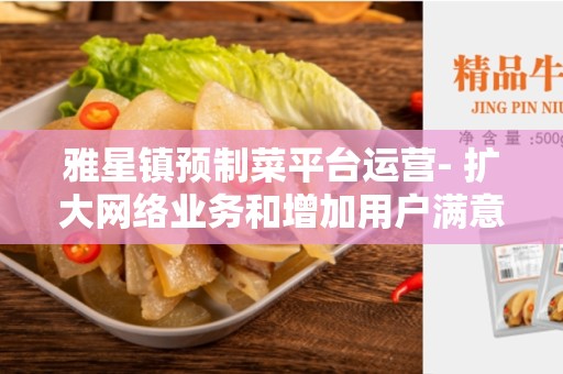 雅星镇预制菜平台运营- 扩大网络业务和增加用户满意度的关键