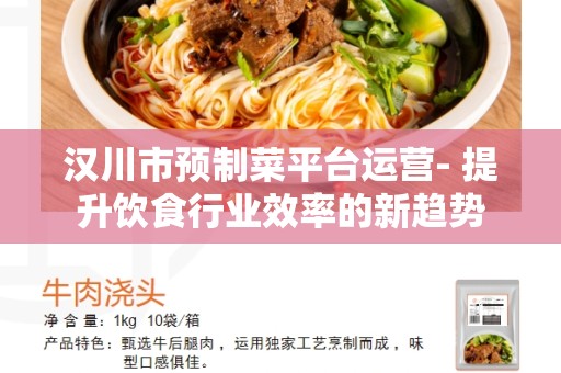 汉川市预制菜平台运营- 提升饮食行业效率的新趋势