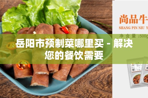 岳阳市预制菜哪里买 - 解决您的餐饮需要