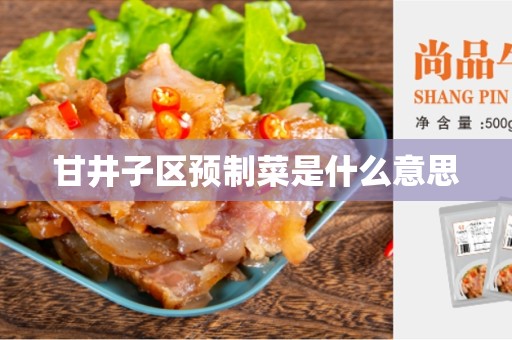 甘井子区预制菜是什么意思