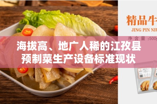 海拔高、地广人稀的江孜县预制菜生产设备标准现状