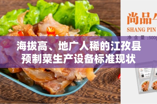 海拔高、地广人稀的江孜县预制菜生产设备标准现状