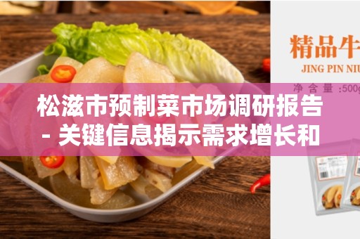 松滋市预制菜市场调研报告- 关键信息揭示需求增长和竞争环境