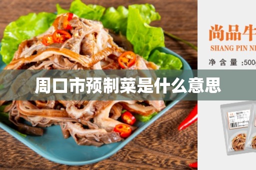 周口市预制菜是什么意思