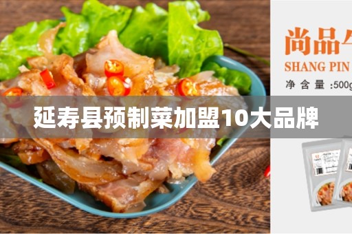 延寿县预制菜加盟10大品牌