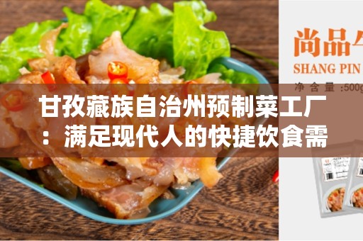 甘孜藏族自治州预制菜工厂：满足现代人的快捷饮食需求