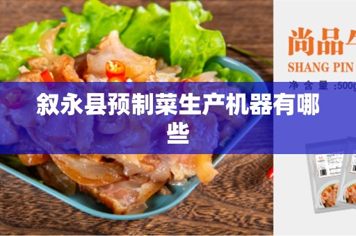 叙永县预制菜生产机器有哪些