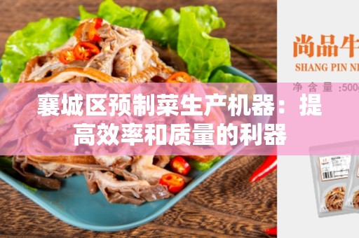 襄城区预制菜生产机器：提高效率和质量的利器