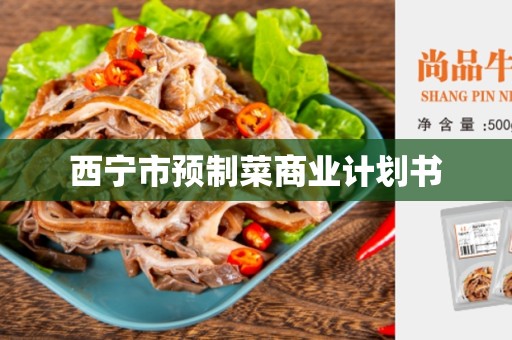 西宁市预制菜商业计划书