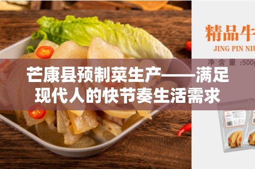 芒康县预制菜生产——满足现代人的快节奏生活需求