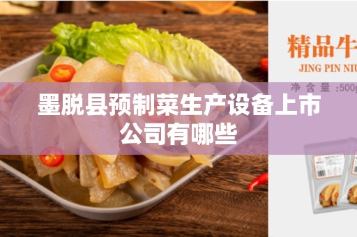 墨脱县预制菜生产设备上市公司有哪些