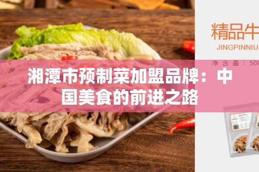 湘潭市预制菜加盟品牌：中国美食的前进之路