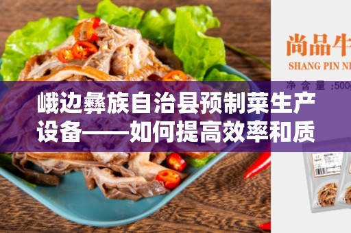 峨边彝族自治县预制菜生产设备——如何提高效率和质量