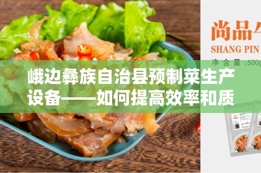 峨边彝族自治县预制菜生产设备——如何提高效率和质量