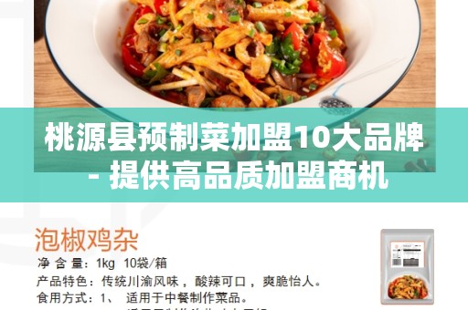 桃源县预制菜加盟10大品牌 - 提供高品质加盟商机