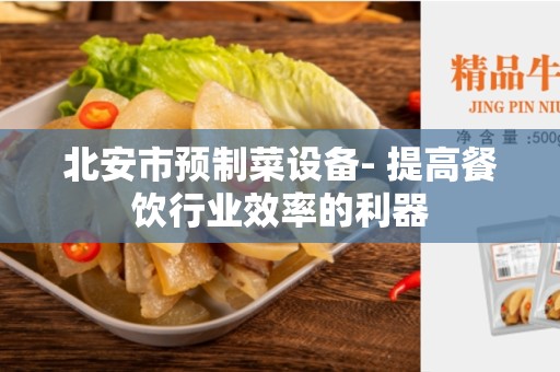 北安市预制菜设备- 提高餐饮行业效率的利器