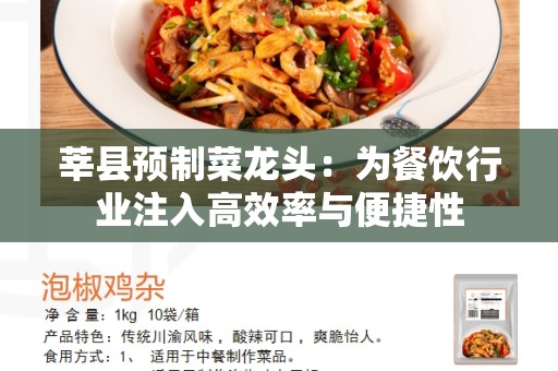 莘县预制菜龙头：为餐饮行业注入高效率与便捷性