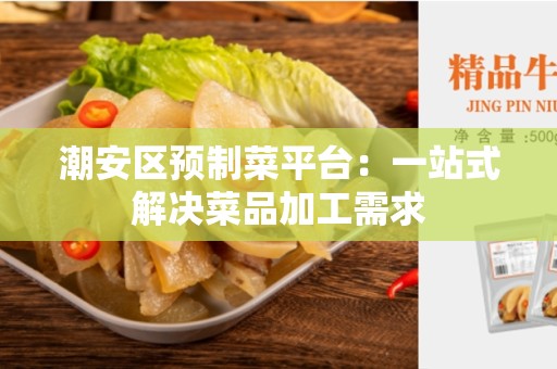 潮安区预制菜平台：一站式解决菜品加工需求