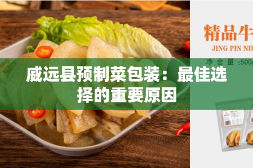 威远县预制菜包装：最佳选择的重要原因