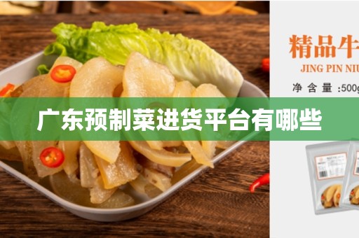 广东预制菜进货平台有哪些