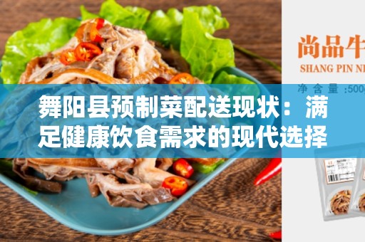 舞阳县预制菜配送现状：满足健康饮食需求的现代选择