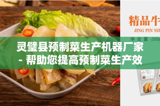 灵璧县预制菜生产机器厂家- 帮助您提高预制菜生产效率的首选