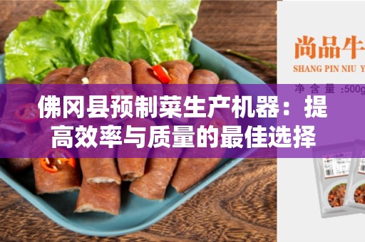 佛冈县预制菜生产机器：提高效率与质量的最佳选择