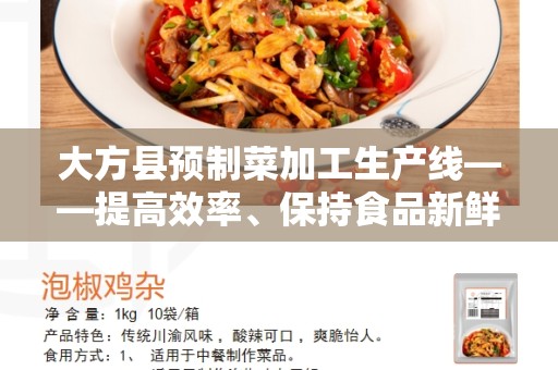 大方县预制菜加工生产线——提高效率、保持食品新鲜的最佳选择