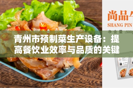青州市预制菜生产设备：提高餐饮业效率与品质的关键
