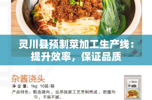 灵川县预制菜加工生产线：提升效率，保证品质